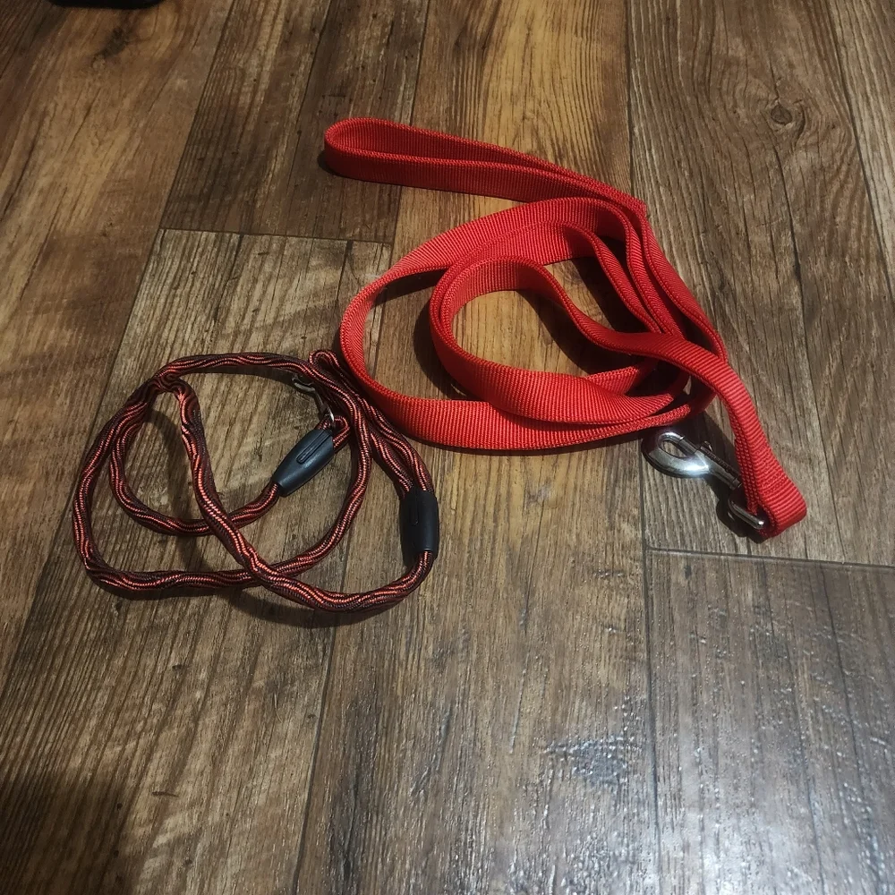 2-LEASHES COASTAL PET 6' HEAVY DUTY NYLON & CORDED / BRAIDED DOG LEASHES